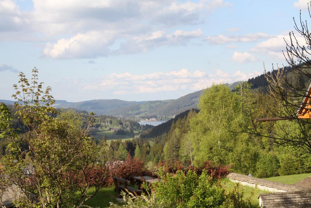 Hotel Adler Baerental Feldberg  Exterior photo